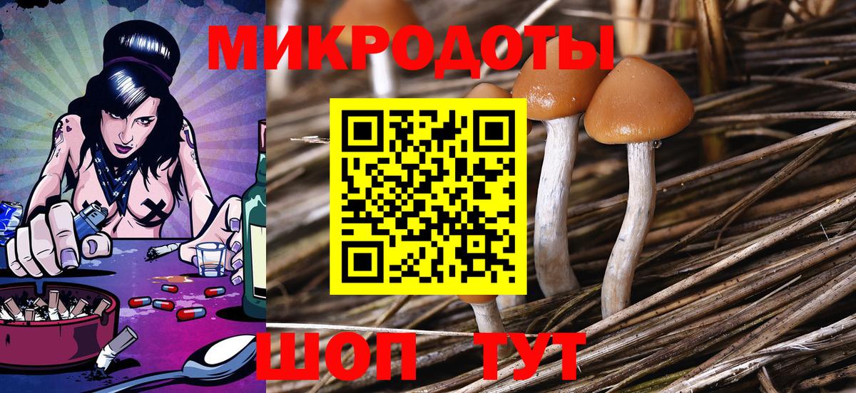Шарыпово  Галлюциногенные грибы прущие грибы  Вход с VPN  Галлюциногенные грибы Magic Shrooms 